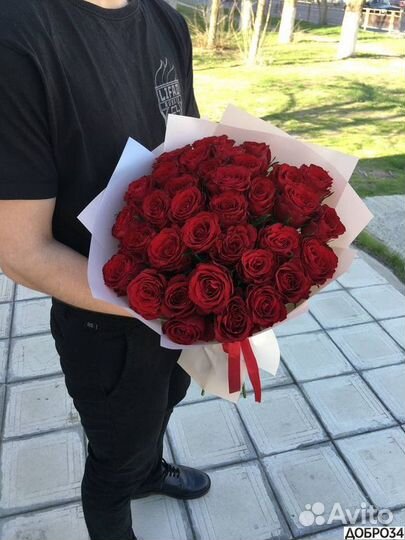 51 Роза 101 Роза 31 Роза 21 Роза 201 Роза
