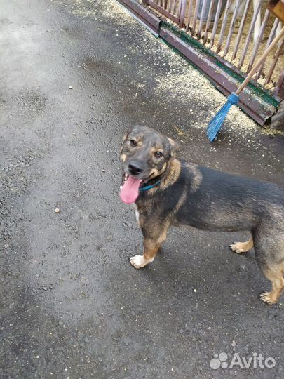 Кузя - звезда Люберец