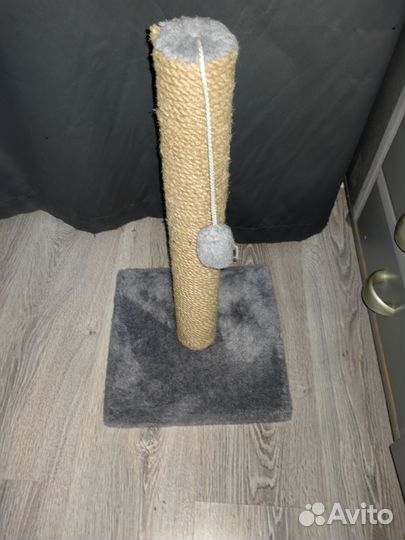 Когтеточка