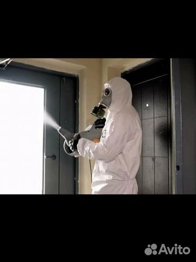 Дезинсекция