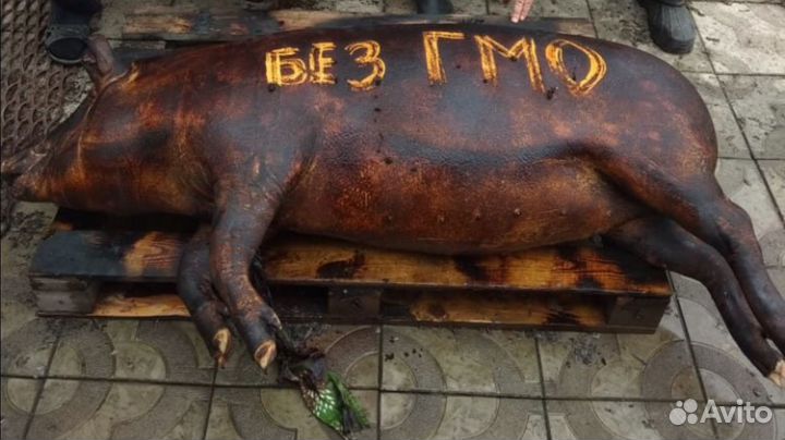 Продам мясо свинина