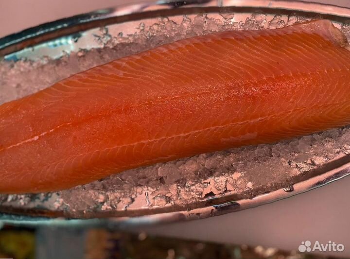 Лосось филе слабосолённый. Охлажденное