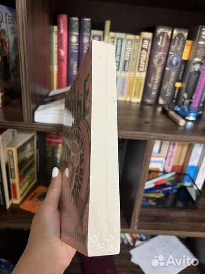 Шонесси Бишоп-Столл 