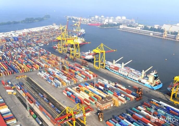 Аккредитация контейнеровозов в порту спб