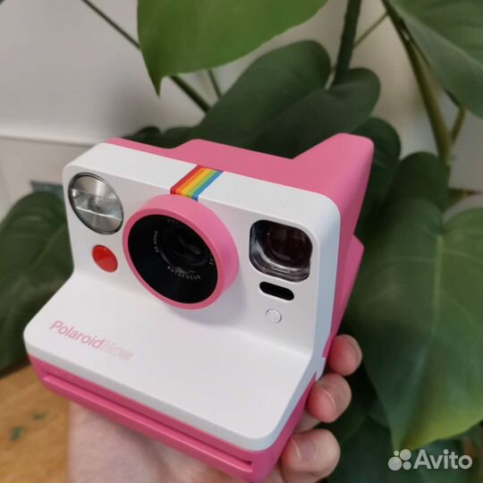 Polaroid Now Редкий Розовый