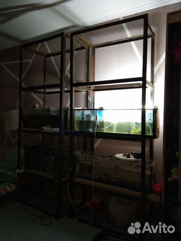 Стеллаж для аквариумов купить в Москве | Животные и зоотовары | Авито