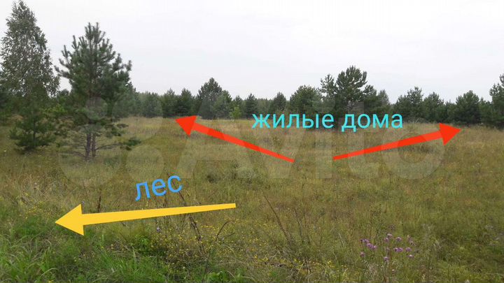 Участок 100 сот. (ИЖС)