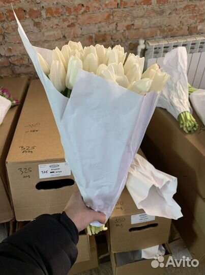 Тюльпаны оптом 8 марта (белые Update)