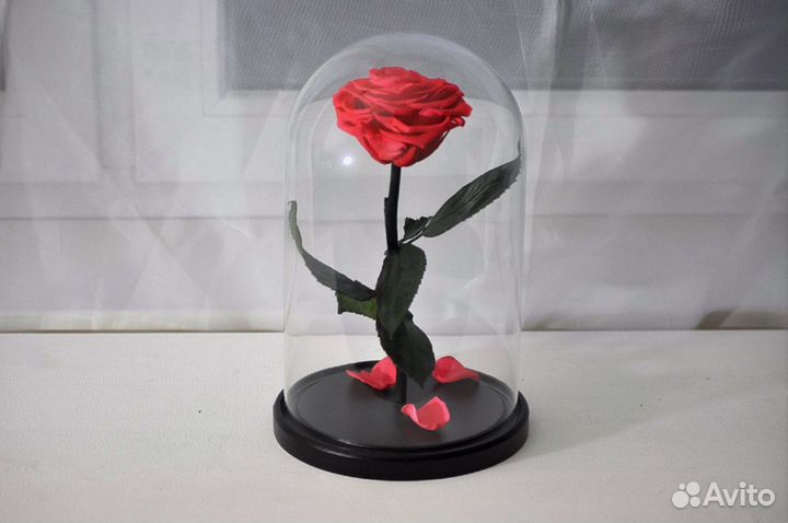 Живая розочка. Подарок. Сувенир