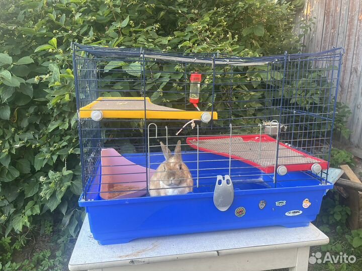 Клетка для кролика большая