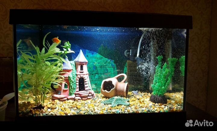 Аквариум Aquael 25 литров /Аквариумный набор