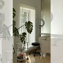 Перманентный макияж, Советск