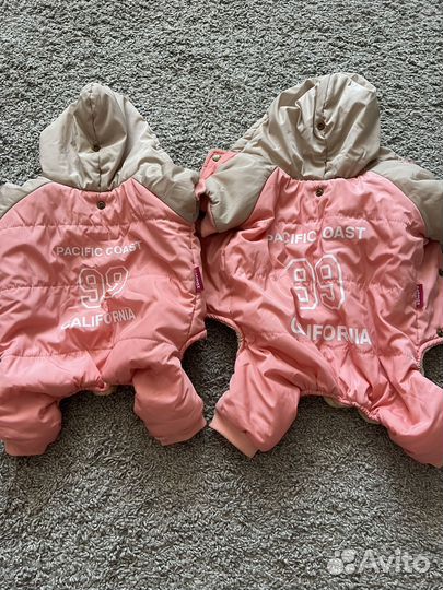 Зимний костюм для собак