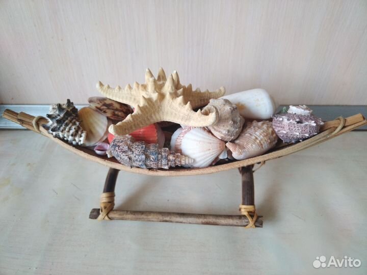 Ракушки.Подарочный набор из ракушек 