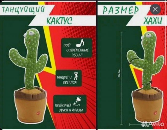 Танцующий и поющий кактус