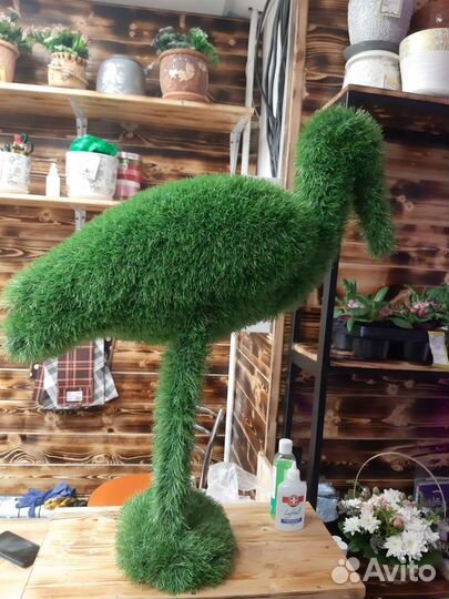 Фигуры из травы