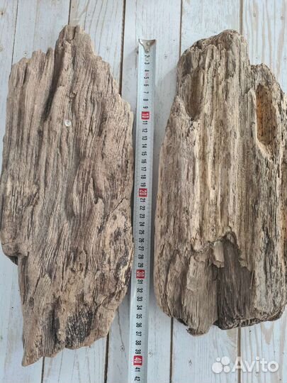 Коряга дрифтвуд