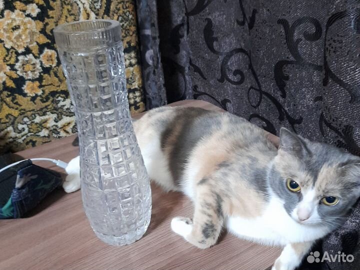 Хрусталь СССР