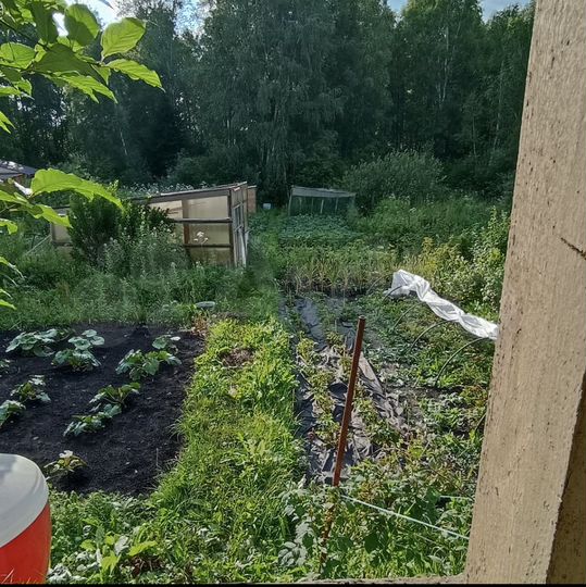 Дача 25 м² на участке 4,6 сот.