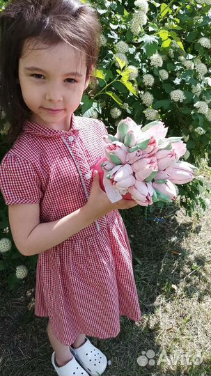 Букеты на 1 сентября