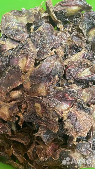 Лакомства для кошек и собак