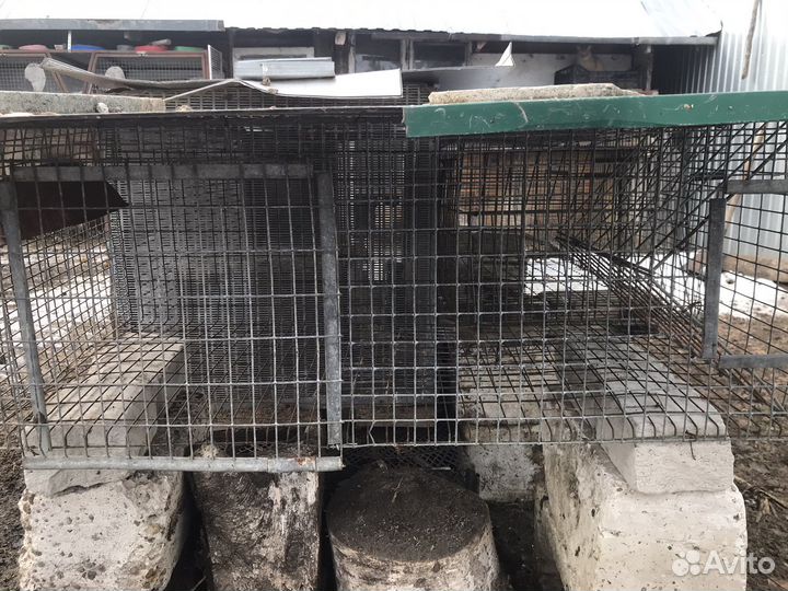Клетки для кроликов