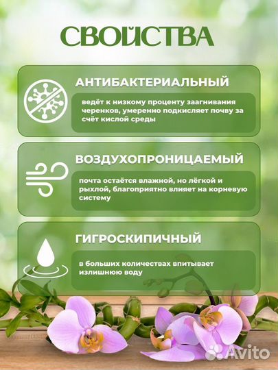 Мох сфагнум живой