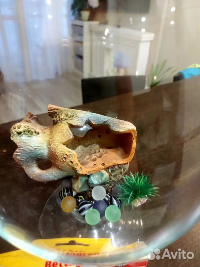 Аквариум в виде бокал