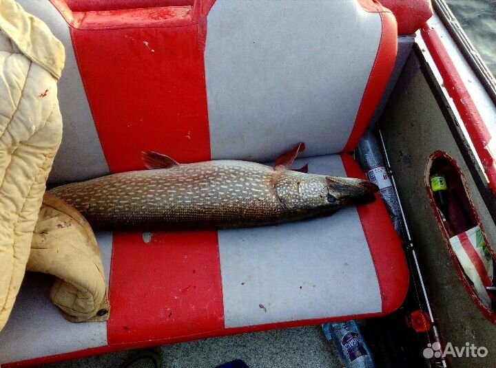 Организация рыбалки