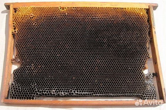 Ульи для пчел бу сушь