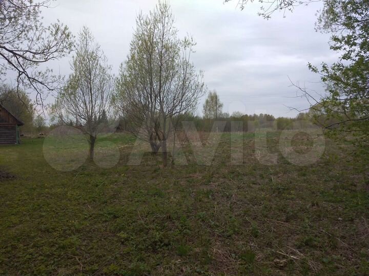 Участок 25 сот. (ИЖС)