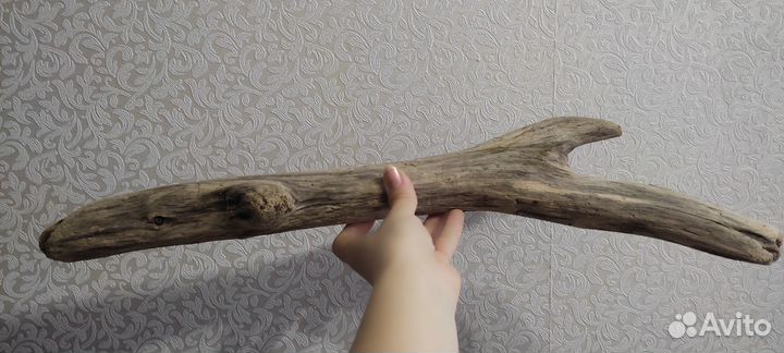 Дрифтвуд коряга для интерьера, террариума