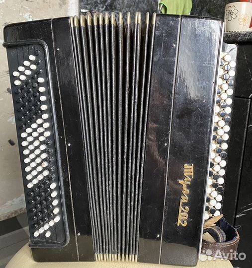 Баян тула 202