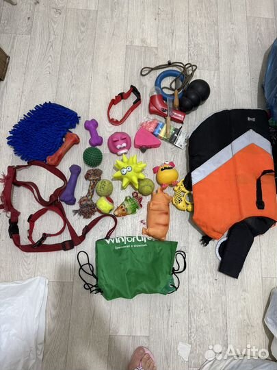 Игрушки ошейники и щетки доя собак