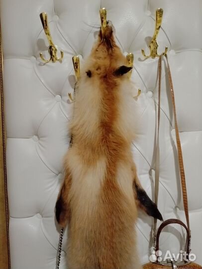 Шкура лисы