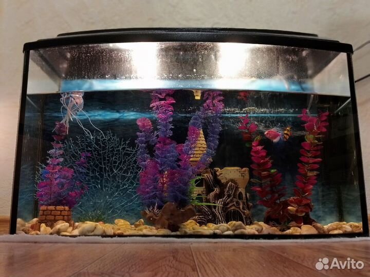 Аквариум