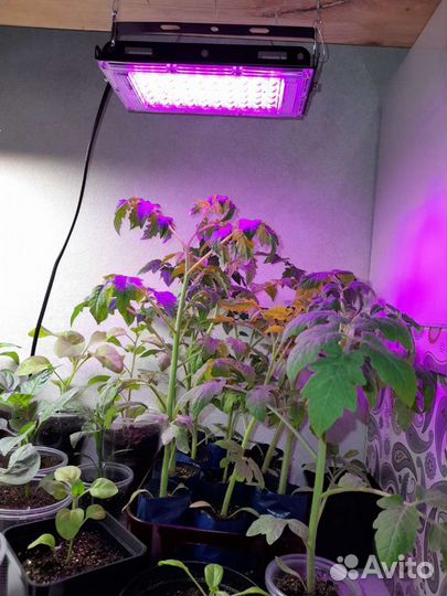50-200Вт Фитосветильник фитолампа для растений
