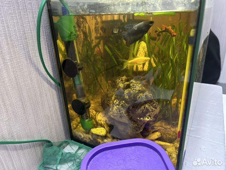Аквариум 30 литров