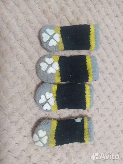 Дождевик для собачки и носочки