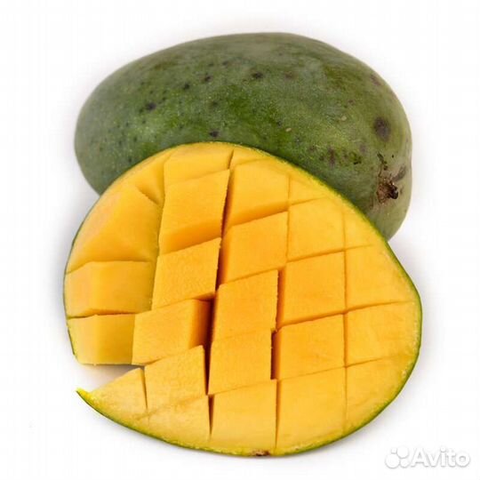 Манго Египет опт