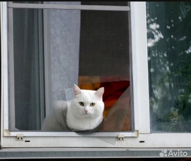 Замена и ремонт москитной сетки