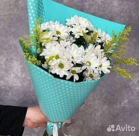 Букет Цветы Хризантемы