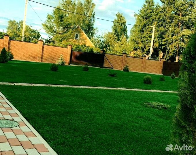 Рулонный газон от производителя