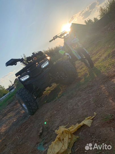 Wild 125