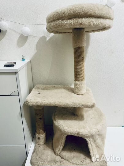 Когтеточка домик для кошки бу