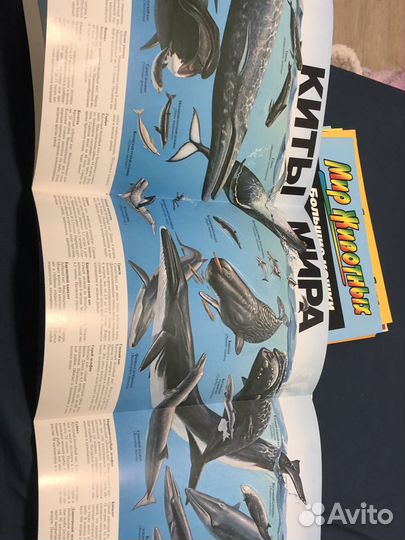 Детские книги разные