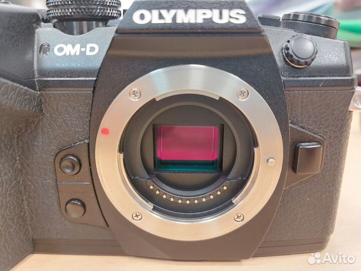 Olympus OM-D E-M1 Mark II Body