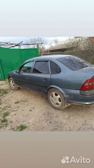 Opel Vectra 1.8 МТ, 1998, 342 956 км