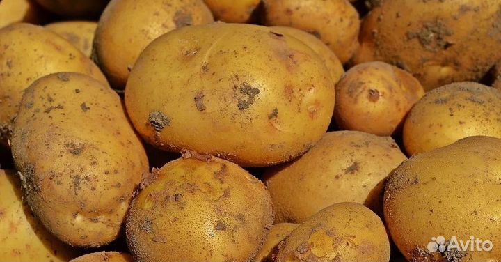 Продам картофель с доставкой