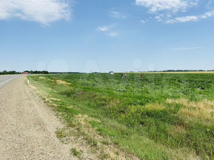 Участок 1,16 га (СНТ, ДНП)